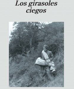 Los girasoles ciegos