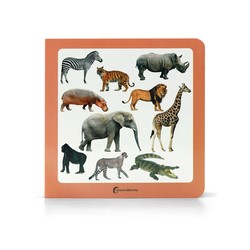 Los animales marinos 2