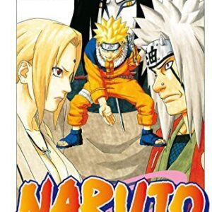 Naruto 19