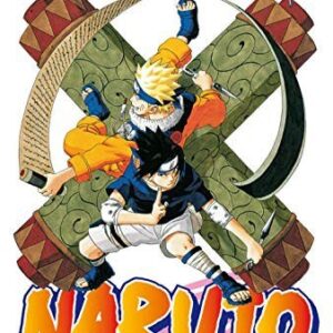 Naruto 17