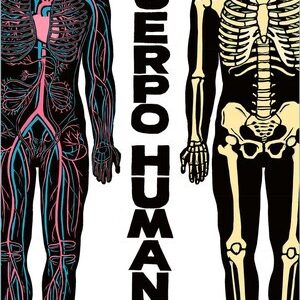El cuerpo humano