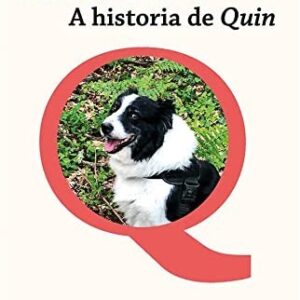 Non deixarei de buscarte